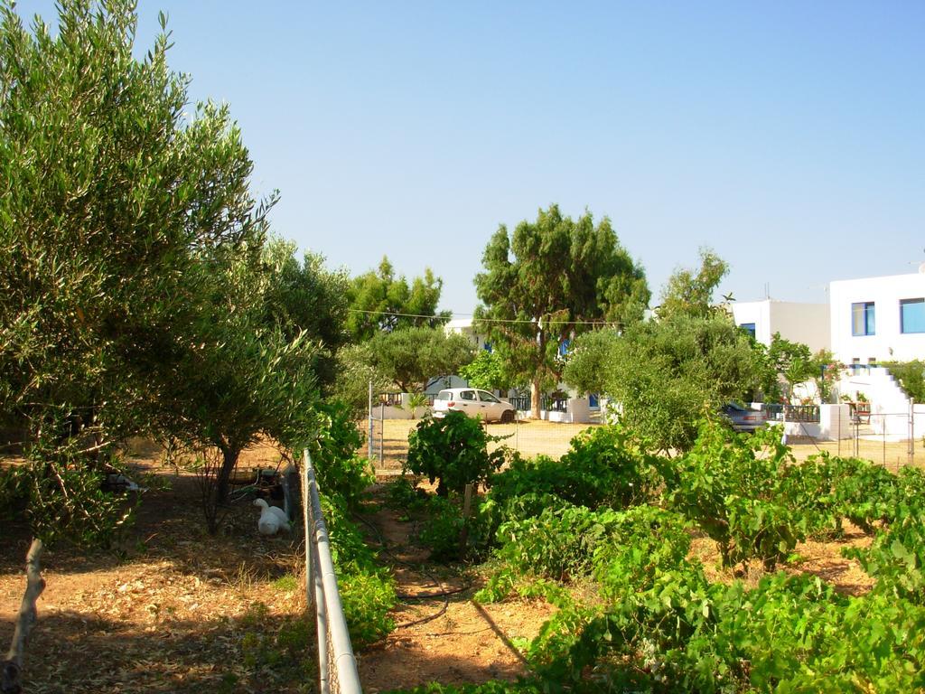 אמופי Horizon View Studios מראה חיצוני תמונה